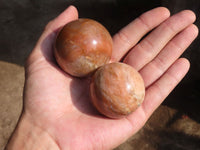 Polished Flashy Peach Moonstone Spheres  x 6 From Madagascar - Toprock Gemstones and Minerals 