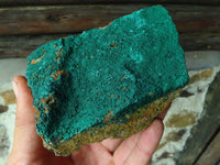 Natural Drusi Coated Crystalline Malachite Specimens x 2 From Tenke Fungurume, Congo - TopRock