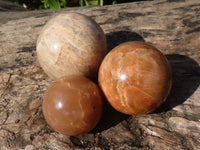 Polished Flashy Peach Moonstone Spheres  x 6 From Madagascar - Toprock Gemstones and Minerals 