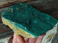 Natural Drusi Coated Crystalline Malachite Specimens x 2 From Tenke Fungurume, Congo - TopRock