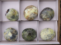 Polished Extra Large Dendritic Opal Palm Stones  x 6 From Madagascar - Toprock Gemstones and Minerals 