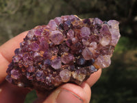 Natural Dark "Amethystos" Amethyst Clusters  x 15 From Kwaggafontein, South Africa - TopRock