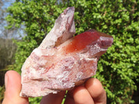 Natural Red Hematite Quartz Crystals  x 6 From Karoi, Zimbabwe - Toprock Gemstones and Minerals 