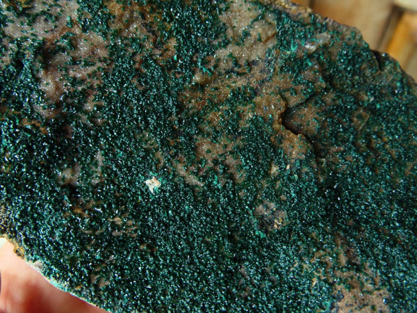 Natural Drusi Coated Crystalline Malachite Specimens x 2 From Tenke Fungurume, Congo - TopRock