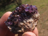 Natural Dark "Amethystos" Amethyst Clusters  x 15 From Kwaggafontein, South Africa - TopRock