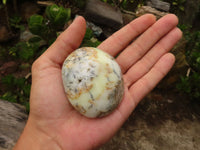 Polished Extra Large Dendritic Opal Palm Stones  x 6 From Madagascar - Toprock Gemstones and Minerals 