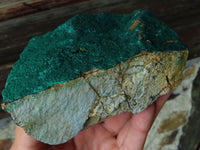 Natural Drusi Coated Crystalline Malachite Specimens x 2 From Tenke Fungurume, Congo - TopRock