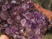 Natural Dark "Amethystos" Amethyst Clusters  x 15 From Kwaggafontein, South Africa - TopRock