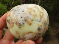 Polished Extra Large Dendritic Opal Palm Stones  x 6 From Madagascar - Toprock Gemstones and Minerals 