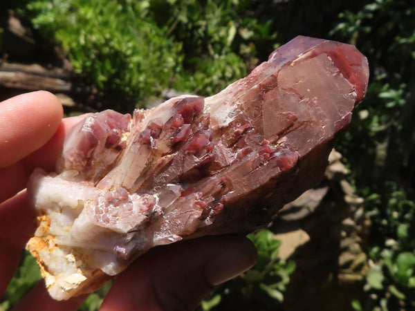 Natural Red Hematoid Quartz Specimens  x 6 From Karoi, Zimbabwe - TopRock