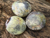 Polished Extra Large Dendritic Opal Palm Stones  x 6 From Madagascar - Toprock Gemstones and Minerals 