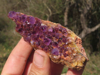 Natural Dark "Amethystos" Amethyst Clusters  x 15 From Kwaggafontein, South Africa - TopRock