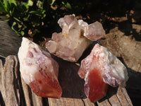 Natural Red Hematite Quartz Crystals  x 6 From Karoi, Zimbabwe - Toprock Gemstones and Minerals 