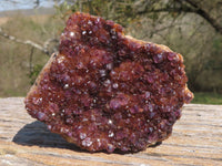 Natural Dark "Amethystos" Amethyst Clusters  x 15 From Kwaggafontein, South Africa - TopRock