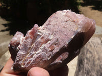 Natural Red Hematoid Quartz Specimens  x 6 From Karoi, Zimbabwe - TopRock