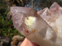 Natural Red Hematite Quartz Crystals  x 6 From Karoi, Zimbabwe - Toprock Gemstones and Minerals 