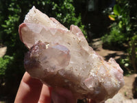 Natural Red Hematoid Quartz Specimens  x 6 From Karoi, Zimbabwe - TopRock