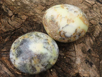 Polished Extra Large Dendritic Opal Palm Stones  x 6 From Madagascar - Toprock Gemstones and Minerals 