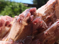 Natural Red Hematoid Quartz Specimens  x 6 From Karoi, Zimbabwe - TopRock