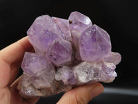 Natural Zambian Amethyst Crystal Crystals x 16 From Mumbwe, Zambia - TopRock