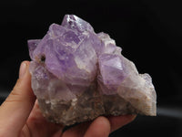 Natural Zambian Amethyst Crystal Crystals x 16 From Mumbwe, Zambia - TopRock