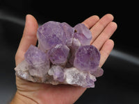 Natural Zambian Amethyst Crystal Crystals x 16 From Mumbwe, Zambia - TopRock