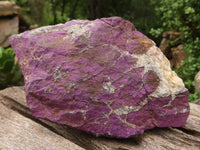 Natural Purpurite Cobbed Specimens  x 6 From Namibia - TopRock