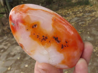 Polished Contrasting Orange Carnelian and White Agate Standing Free Forms  x 4 From Madagascar - TopRock