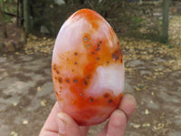 Polished Contrasting Orange Carnelian and White Agate Standing Free Forms  x 4 From Madagascar - TopRock