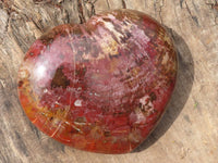 Polished Extra Large Petrified Red Podocarpus Wood Heart  x 1 From Madagascar - Toprock Gemstones and Minerals 