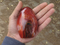 Polished Contrasting Orange Carnelian and White Agate Standing Free Forms  x 4 From Madagascar - TopRock