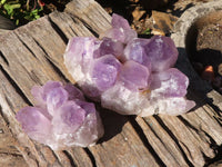 Natural Jacaranda Amethyst Clusters x 2 From Mumbwe, Zambia