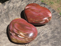 Polished Petrified Red Podocarpus Wood Hearts x 2 From Madagascar - TopRock