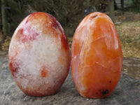 Polished Contrasting Orange Carnelian and White Agate Standing Free Forms  x 4 From Madagascar - TopRock