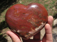 Polished Petrified Red Podocarpus Wood Hearts x 2 From Madagascar - TopRock