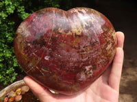 Polished Extra Large Petrified Red Podocarpus Wood Heart  x 1 From Madagascar - Toprock Gemstones and Minerals 