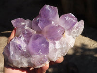 Natural Jacaranda Amethyst Clusters x 2 From Mumbwe, Zambia