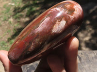 Polished Petrified Red Podocarpus Wood Hearts x 2 From Madagascar - TopRock