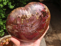 Polished Extra Large Petrified Red Podocarpus Wood Heart  x 1 From Madagascar - Toprock Gemstones and Minerals 