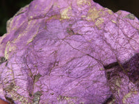 Natural Purpurite Cobbed Specimens  x 6 From Namibia - TopRock