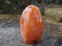 Polished Contrasting Orange Carnelian and White Agate Standing Free Forms  x 4 From Madagascar - TopRock