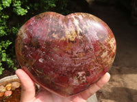 Polished Extra Large Petrified Red Podocarpus Wood Heart  x 1 From Madagascar - Toprock Gemstones and Minerals 