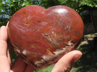 Polished Petrified Red Podocarpus Wood Hearts x 2 From Madagascar - TopRock