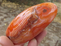 Polished Contrasting Orange Carnelian and White Agate Standing Free Forms  x 4 From Madagascar - TopRock