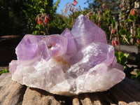 Natural Jacaranda Amethyst Clusters x 2 From Mumbwe, Zambia