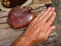 Polished Extra Large Petrified Red Podocarpus Wood Heart  x 1 From Madagascar - Toprock Gemstones and Minerals 