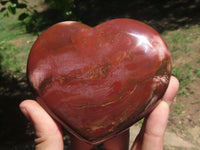 Polished Petrified Red Podocarpus Wood Hearts x 2 From Madagascar - TopRock