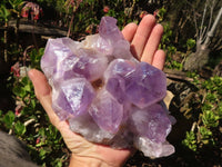 Natural Jacaranda Amethyst Clusters x 2 From Mumbwe, Zambia