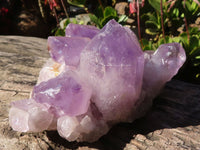 Natural Jacaranda Amethyst Clusters x 2 From Mumbwe, Zambia