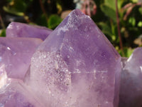 Natural Jacaranda Amethyst Clusters x 2 From Mumbwe, Zambia